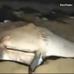 Фото youtube.com