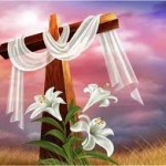 Фото cbs-angarsk.ru