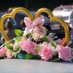 Фото jailbird.ru