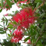 Фото RussianPDX.com