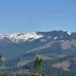 Фото RussianPDX.Com