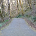 Фото RussianPDX.Com