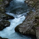 Фото RussianPDX.com