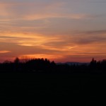 Фото RussianPDX.Com