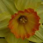 Фото RussianPDX.com