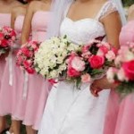 Фото sophstertoaster.com