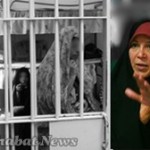 Фото mohabatnews.com