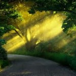 Лучик Солнца