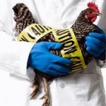 Фото grippozus.ru