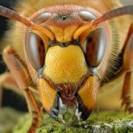 Фото medokk.at.ua