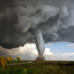 Фото: nationalgeographic.com