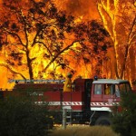 В Калифорнии бушуют лесные пожары. © EPA | All Over Press