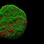 Фото с сайта facte.ru