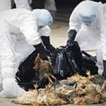 Фото informvest.com