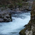 Фото RussianPDX.Com