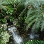 Фото RussianPDX.com 