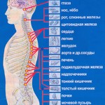 Фото с сайта vestnik7.com