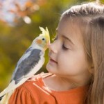 Фото  с сайта mamapluspapa.com