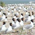 Фото с сайта gismeteo.ua