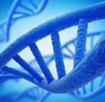 Фото с сайта  afmedia.ru