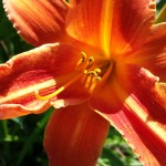 Фото RussianPDX.com