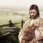 Фото с сайта onbog.com