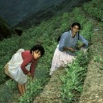 Фото с сайта  tbn-tv.ru