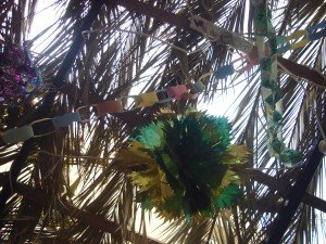 Листья Пальмы