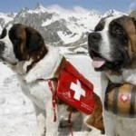 Фото с сайта istina.info