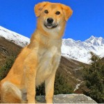 Фото с сайта tbn-tv.ru