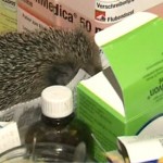 Фото с сайта tbn-tv.ru