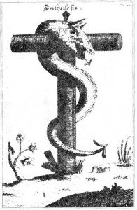 Фото с сайта orthoview.ru