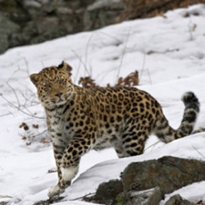 Фото с сайта tbn-tv.ru