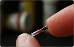 Фото с сайта veroyu.my1.ru