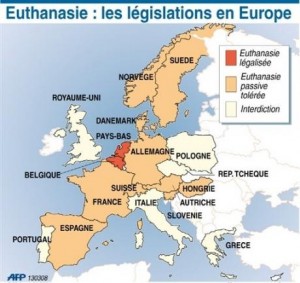 Фото с сайта orthoview.ru