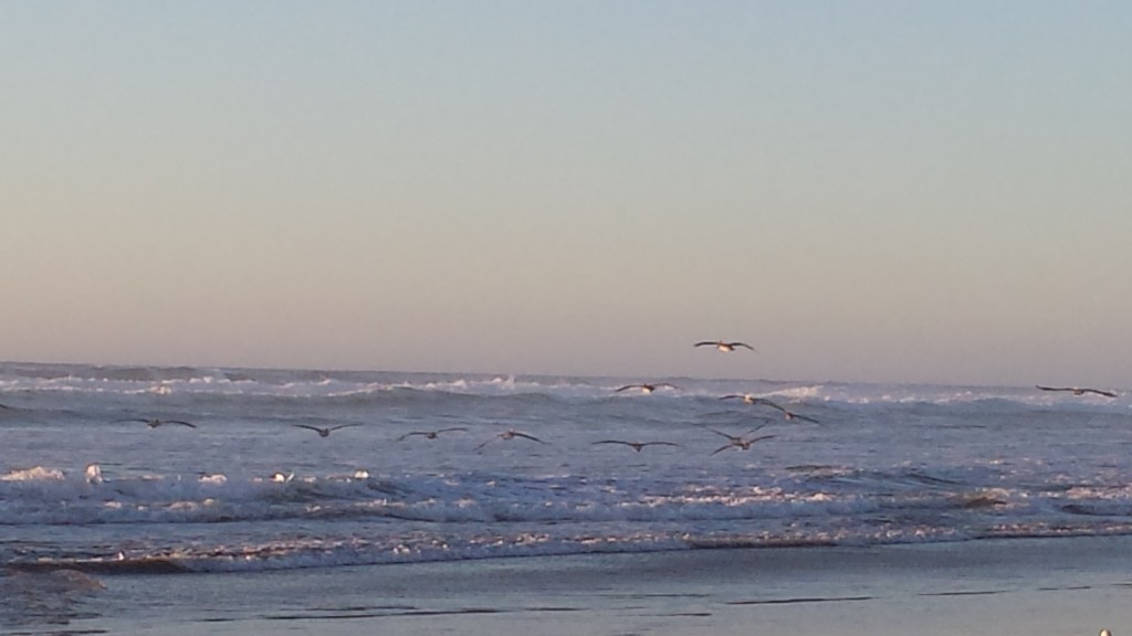 Фото RussianPDX.com