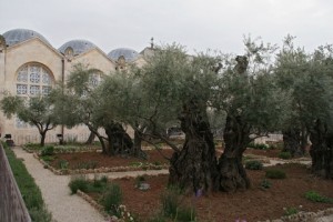 Фото с сайта baznica.info