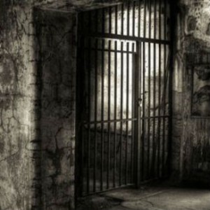 Фото с сайта  tbn-tv.ru